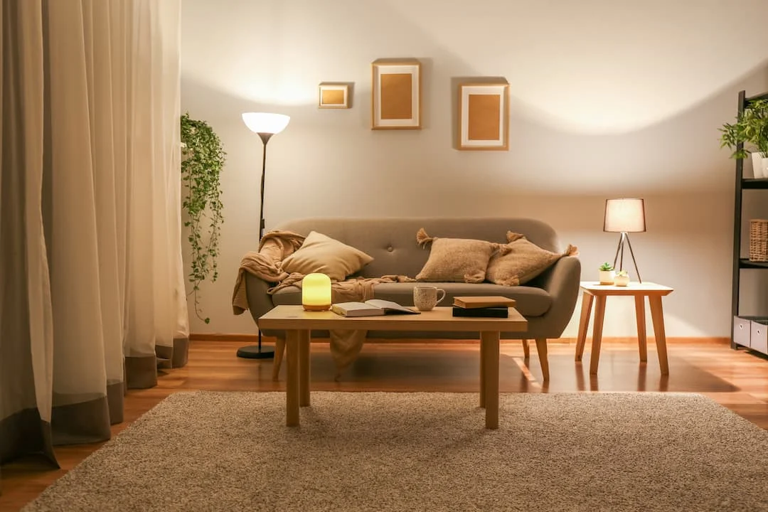 Domestic Electrician